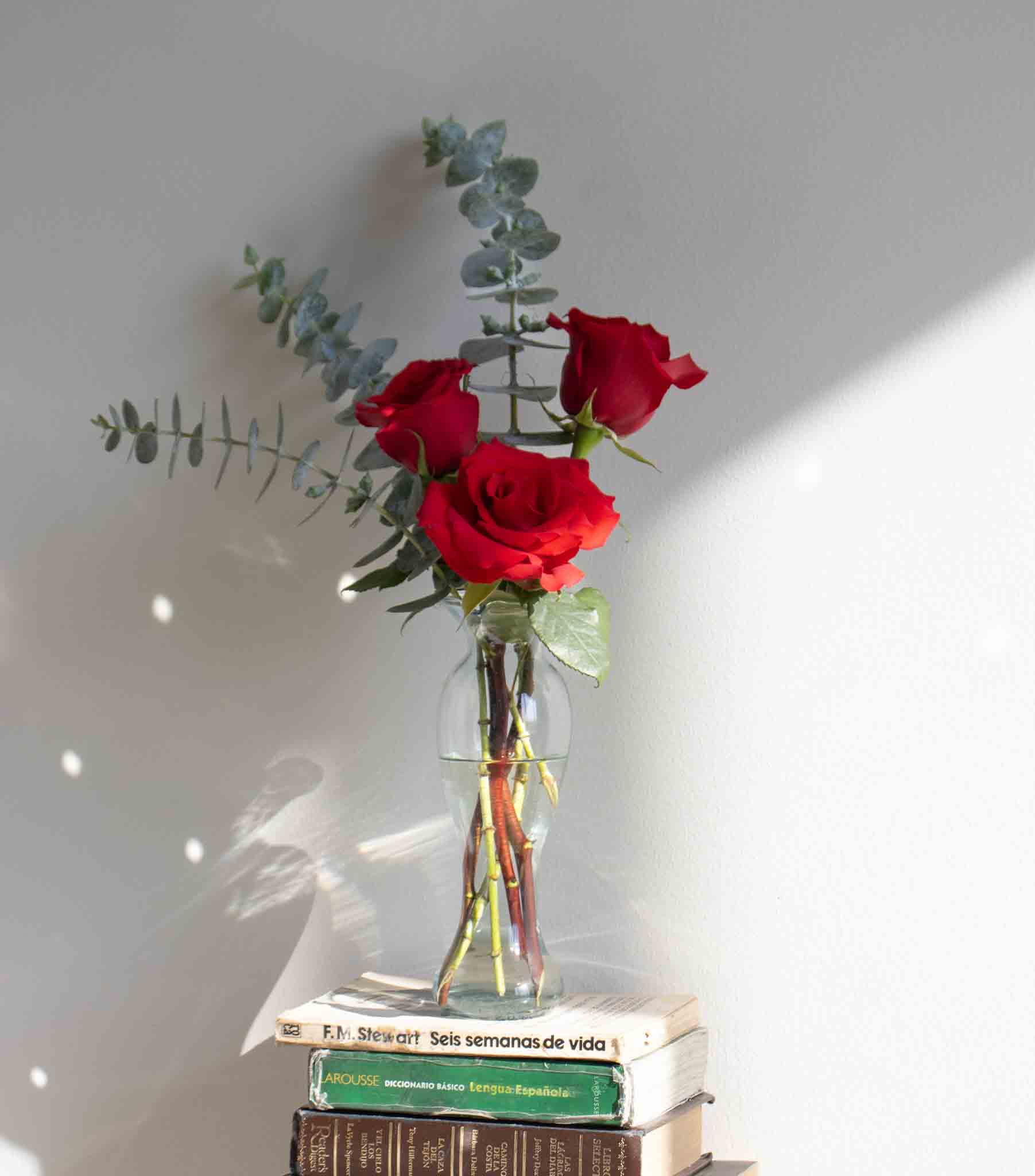  rosas y follaje elegante - Flores a Domicilio 2