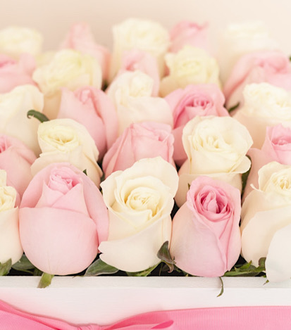 Estuche con 25 Rosas - Arreglo de flores a domicilio 2