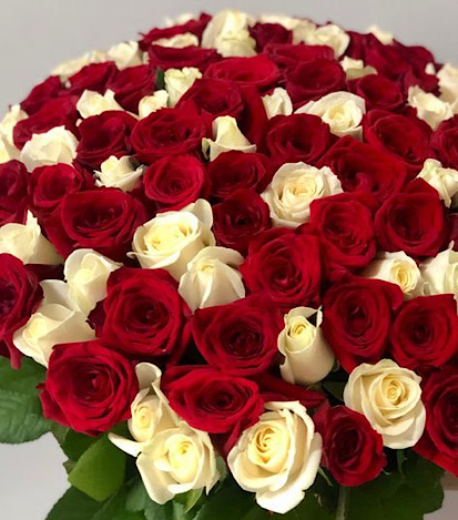 Bouquet 100 Rosas. - Flores a Domicilio 1