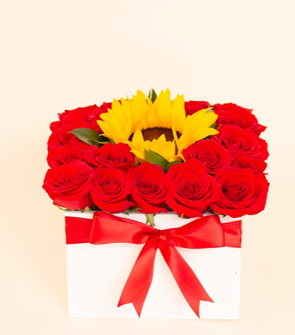 rosas rojas y girasol  - Flores a Domicilio
