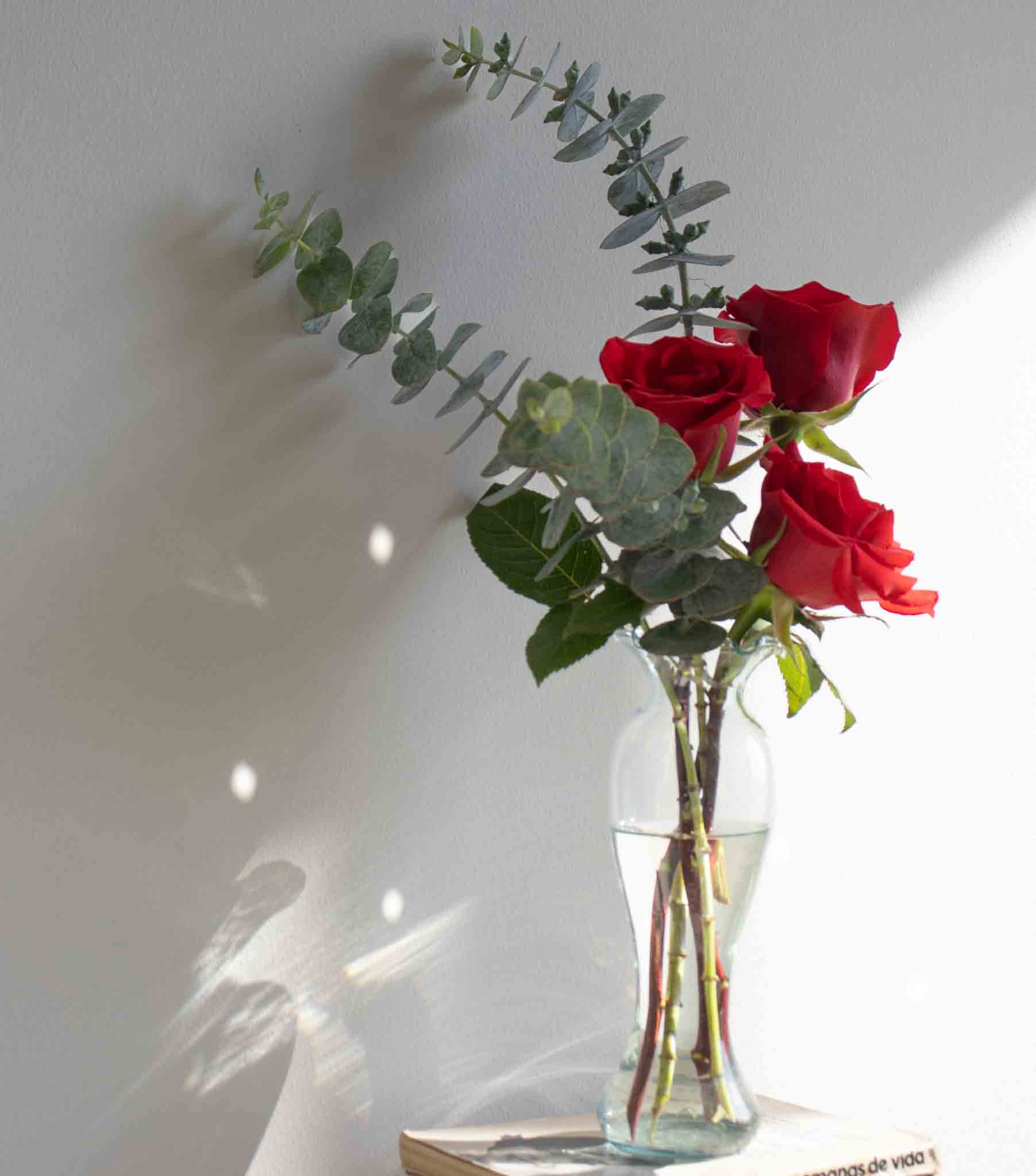  rosas y follaje elegante - Flores a Domicilio 1