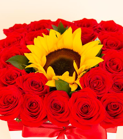 rosas rojas y girasol  - Flores a Domicilio 1