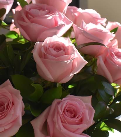 Florero 24 Rosas Rosa - Flores a Domicilio 2