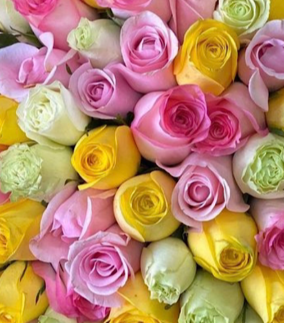 100  Rosas - Arreglo de flores a domicilio 1