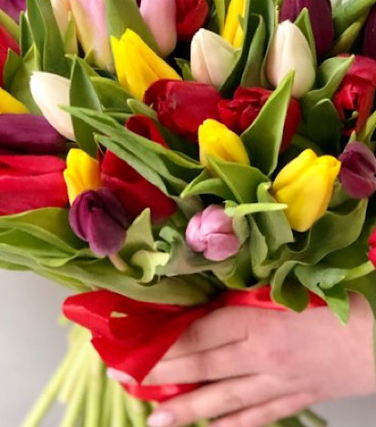 tulipanes de colores - Flores a Domicilio 1