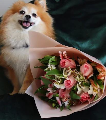 6 Rosas y Alstroemerias. - Flores a Domicilio 2