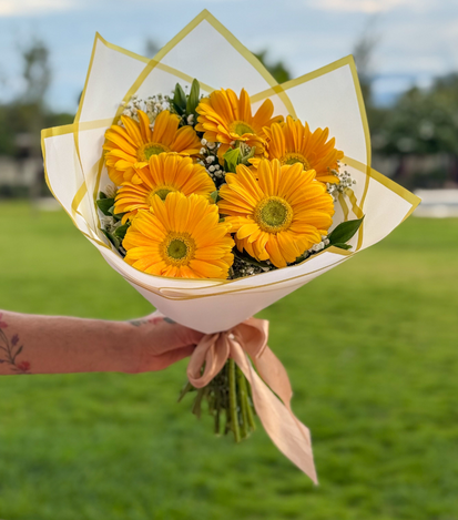 gerberas amarillas - floreria suspiros 
